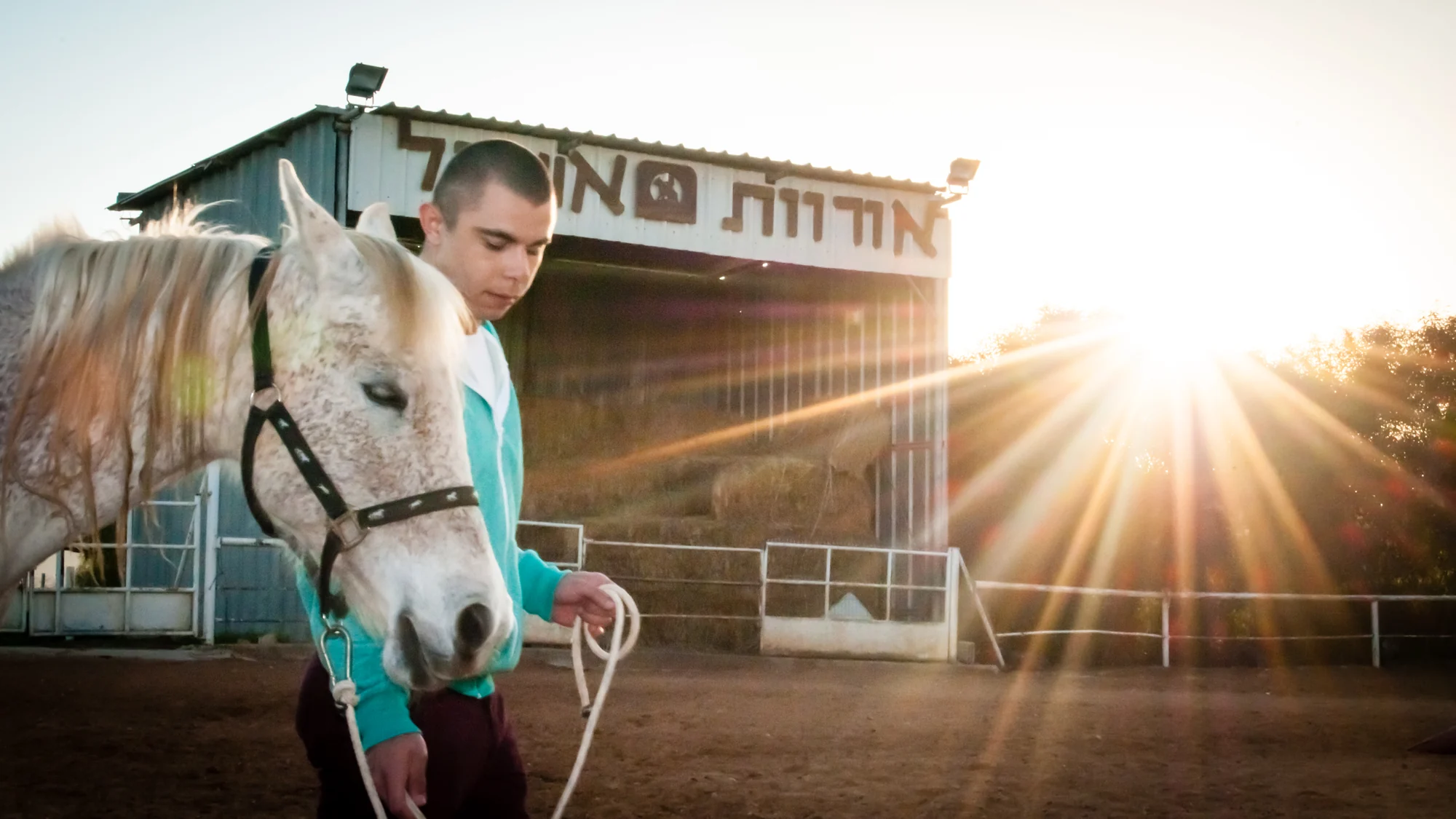 A young person leading a white horse outside the Eshbal stable